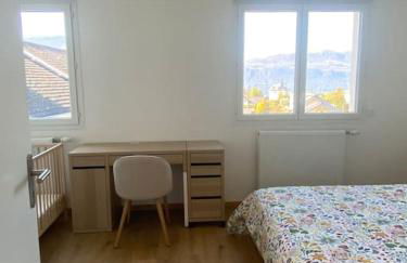 VILLA VUE LAC -3 chambres jardin-proche du lac et du Centre-ville , 2 places parking - Foto 22