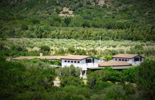 Abba Arrubia - Foto 3