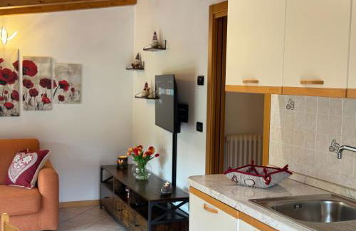 Bilocale baciato dal sole - Foto 50