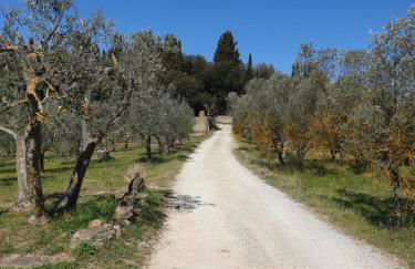 Private Villa Dolce Vita - Foto 23