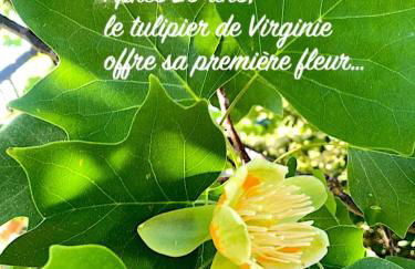 "Clair de Lune" Gîte sur 6000 m2 arborés - Foto 26