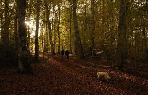 Tana di Zia Nature, Yourself, Love - Foto 59