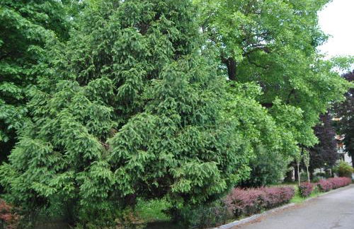 Portello Flat with Balcony - Foto 31