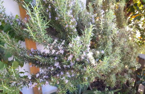 playa y naturaleza - Foto 14