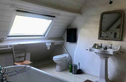 Longere ancienne dans un parc - Foto 18