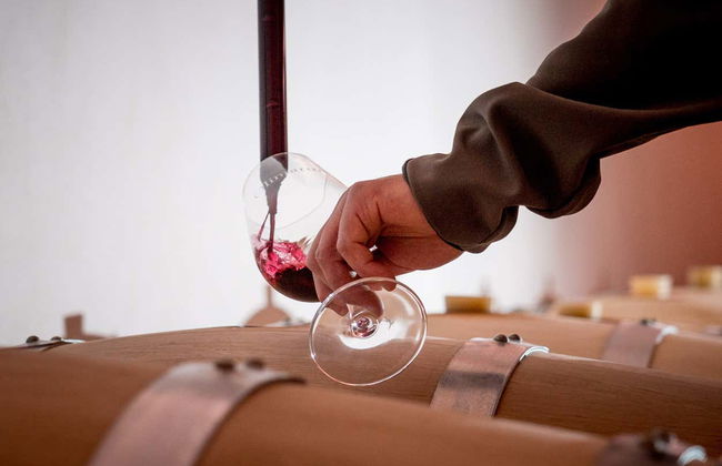 Visita alle cantine Olimarum - Foto 6