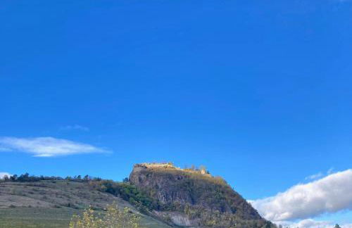 Wohlfühlwohnung mit Parkplatz, Zentral, schnelles Wlan, Bodensee & Schweiz Nähe - Foto 15