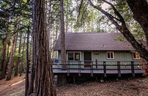 Trout River Cabin - Cozy Quiet Peaceful Retreat - Foto 30