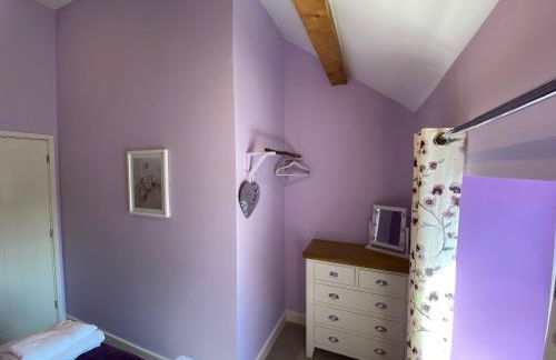 Caer Fedwen Barns Blodyn Cottage Cosy Self Catering with Private Hot Tub - Foto 10