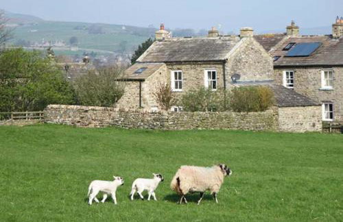 Cross Beck Cottage - Photo 40