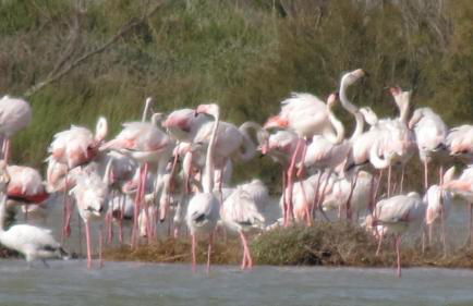 Casa Nettuno - Foto 16