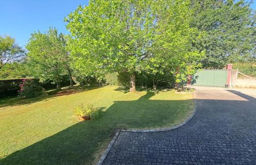 Casa Olga - Photo 15