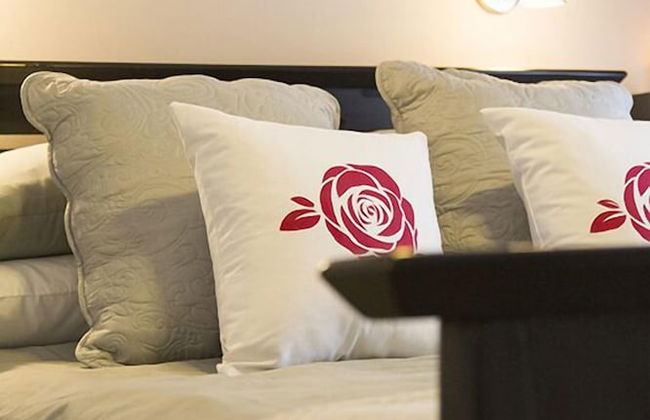 Nehema Manor - Foto 11