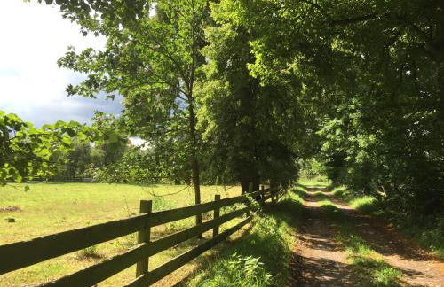 Ferienhaus Biene - Photo 57