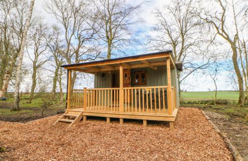 Bracken Fern - Photo 1