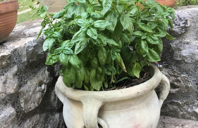 Villa Misita - Foto 39