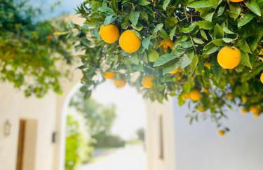 Cortijo de Guerra - Foto 58