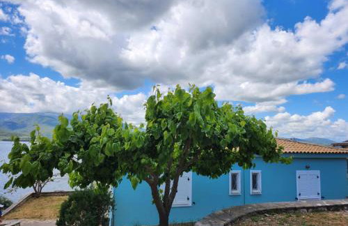 sparton amfilohias παραθαλάσσιο εξοχικό Filoxenia - Foto 9