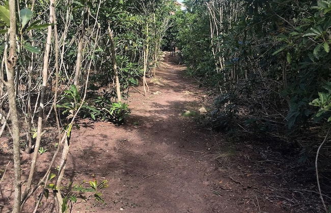 A Riverbed Guesthouse - Photo 62