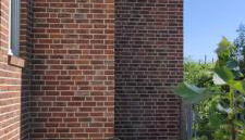 Rheinufer - Foto 4, Garden