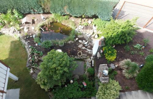 Fewo Singler - Foto 16