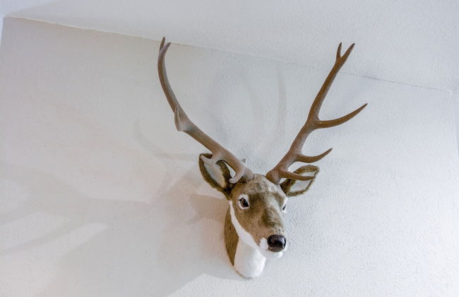 Apartment in Cervinia With Ski Access - Foto 29