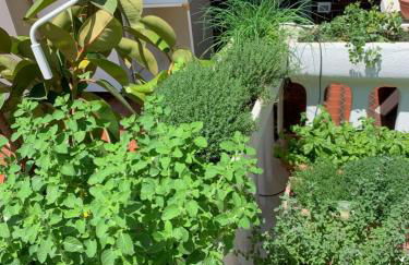 Anzio (RM), zona Santa Teresa - Photo 20