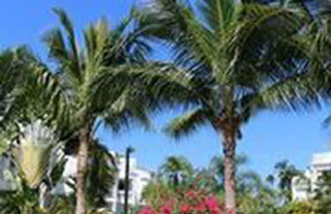 Beachfront Apartment facing Playa Popy - Photo 17