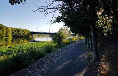 T2 lumineux vue sur Cher, 8mn Gare & centre - Photo 22