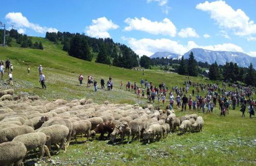 Appart Eterlou Chamrousse - Photo 13