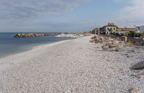 la coccinella - Photo 28