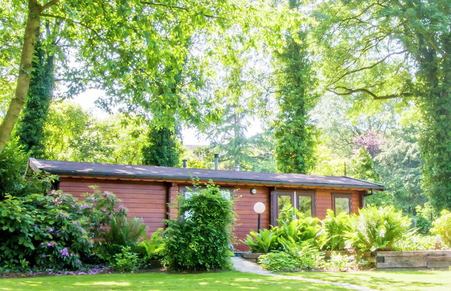 Chalet in Overijssel With Spacious Terrace - Foto 22