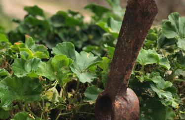 La Grotta - Photo 50