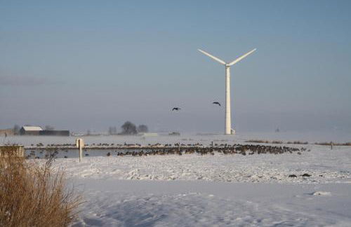 Apartment Vier Jahreszeiten Pilsum - Foto 43