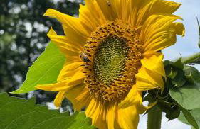 W Kręgu Natury - Foto 52