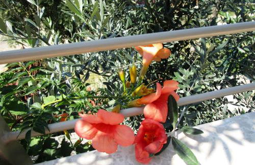 Villa Kiara - Foto 43