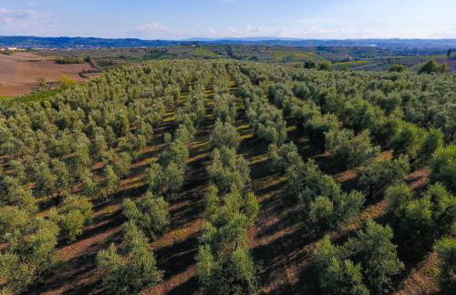 Agriturismo Luggiano - Foto 37