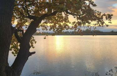 Urlaub im Neuseenland - Foto 38