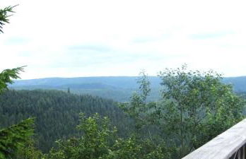 Ferienwohnung Schwarzwald Oase Kniebis - Foto 24