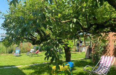 Orto del pettirosso Appartamento con piscina privata e BBQ - Photo 39