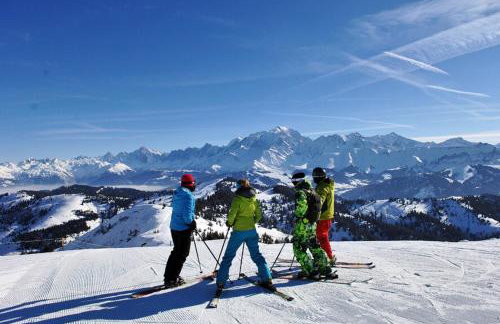 Résidence L'edelweiss-planay - Superbe studio proche des pistes MAE-5654 - Photo 23
