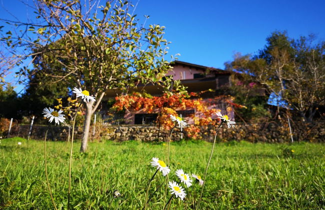 La Tinaia Country House - Photo 70