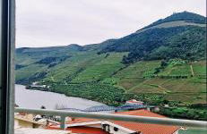 Casa Rodrigues - Foto 19