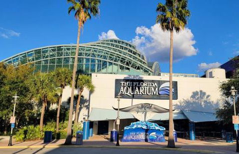 Hot tub Playground Ping-pong Near beaches! - Foto 29