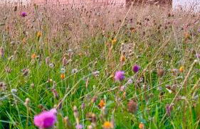 Śtyry Pory Roku - Foto 53