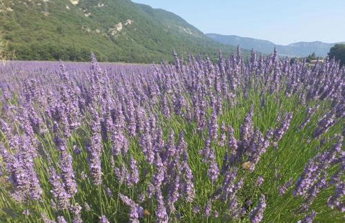 Les Romarins, appartement impeccable et son parking privé - Foto 18