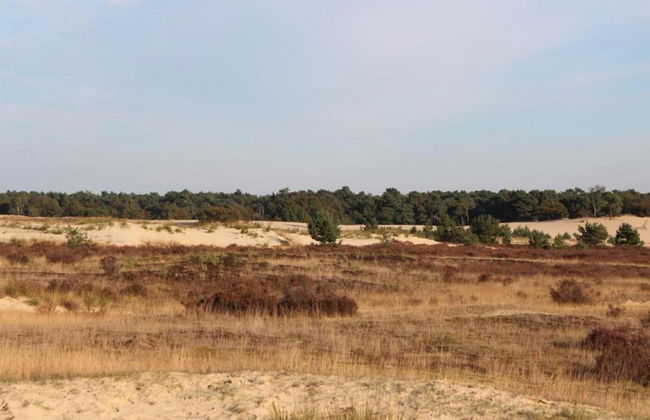 Chalet Near Drunense Dunes in Van Gogh Style - Photo 33