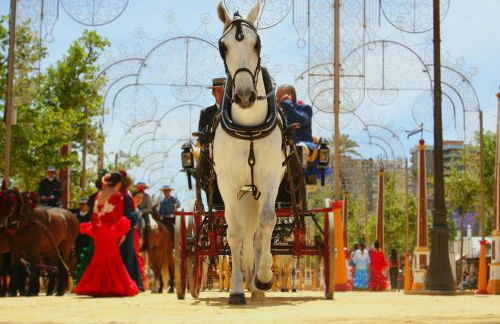 Apartamento Centrico Jerez de la Frontera - Foto 15