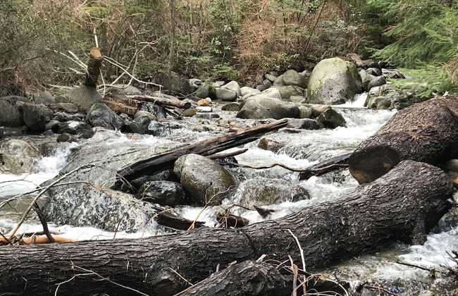 Amazing 5 Bedrooms Chalet in Villa Traful VT1 by Apartments Bariloche - Foto 55