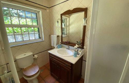 Green Villa Gerês - Foto 42